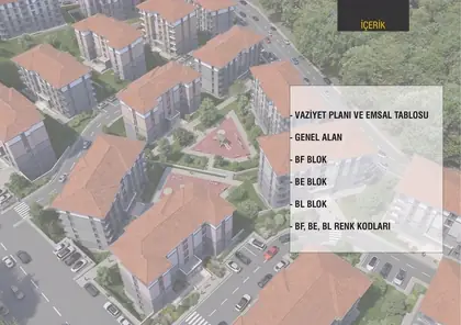 2. İçerik